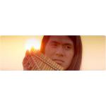 29-08-2013 - mcs_marketing - Leo Rojas - banner.jpg